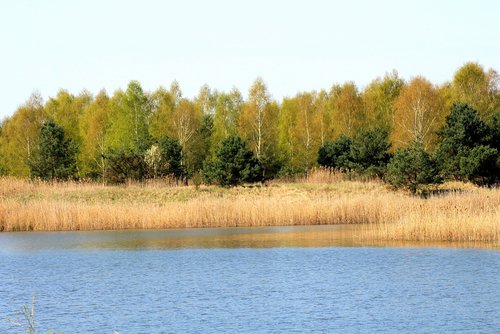 spring  landscape  lagoon