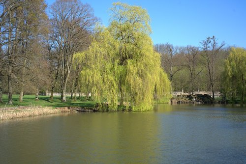 spring  pond  calden