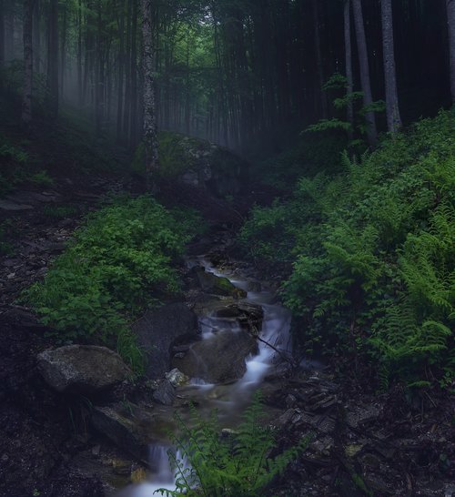 spring  mountains  nature