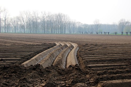 spring  agricultural land  plowed