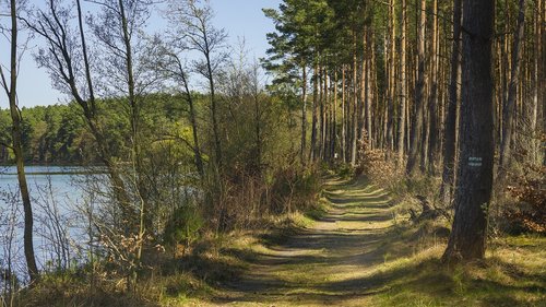 spring  forest  lake