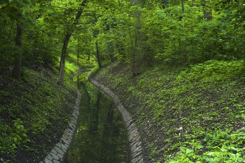 spring  green  nature