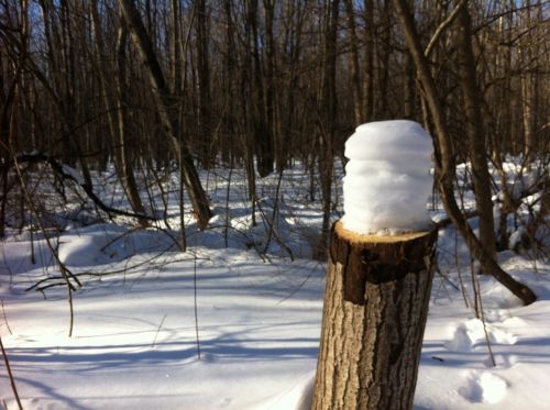 spring snow spring hike