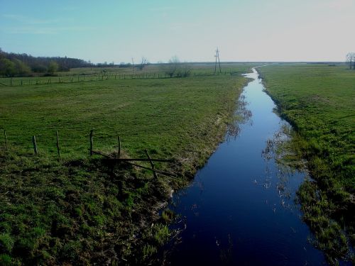 spring water brook