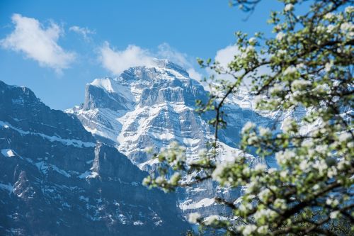 spring mountains snow