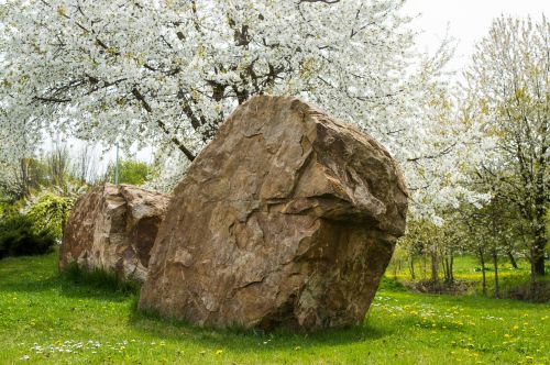spring flowers stone