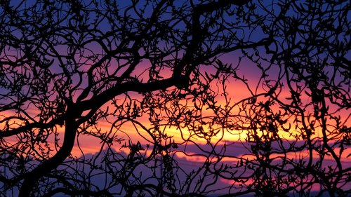 spring evening  evening sky  sunset