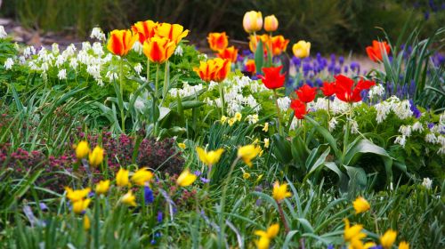 Spring Flower Garden