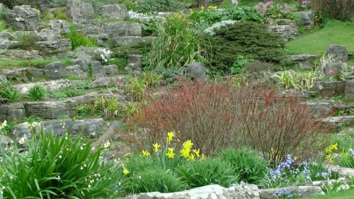 Spring In The Rock Garden