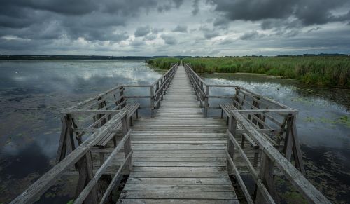spring lake wooden bridge boardwalk