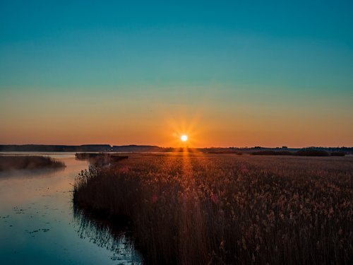 spring lake  nature  sunrise