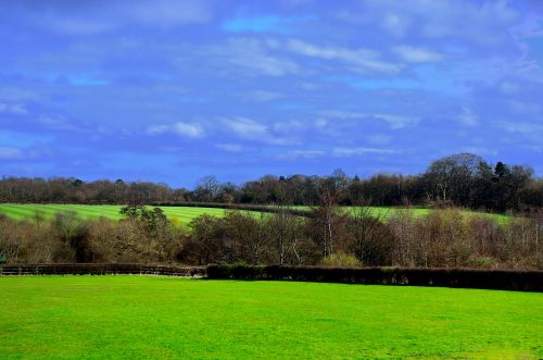 Spring Landscape