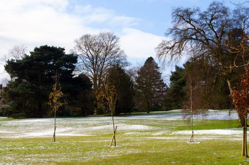 Spring Landscape