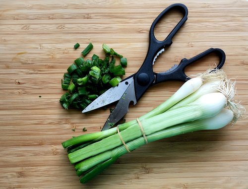 spring onion  kitchen scissors  food