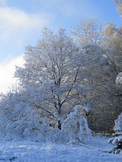 spring snow snow frost