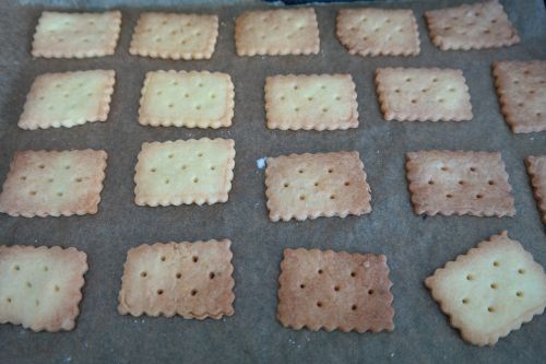 springerle cookie aniseed biscuits