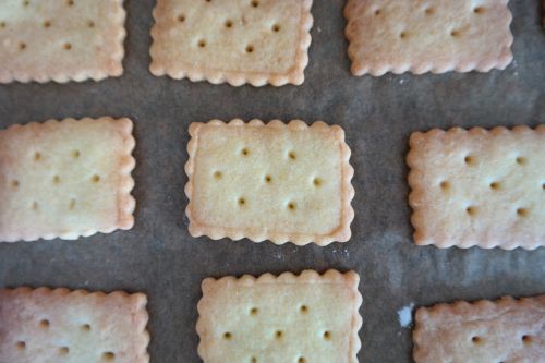 springerle cookie aniseed biscuits