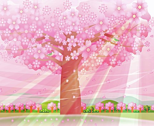 springtime background  sakura  cherry tree