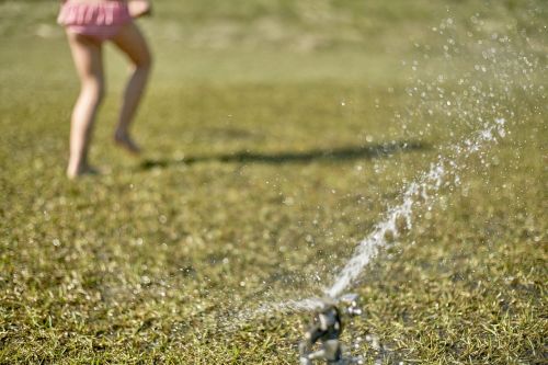 sprinkler grass playing