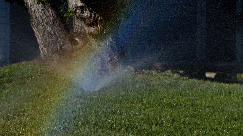 Sprinkler Rainbow