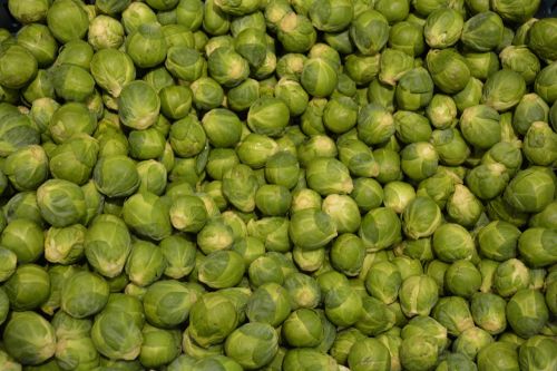 sprouts vegetable green