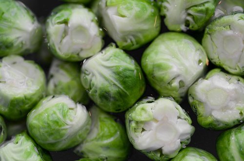 sprouts  brussels  macro