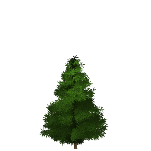 spruce tree painted tree