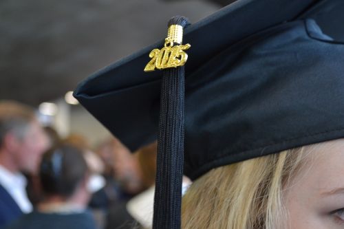 square academic cap pet graduation hat