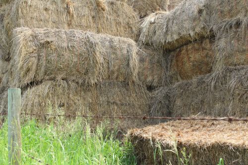 Square Hay Bales Barbed Wire Fence