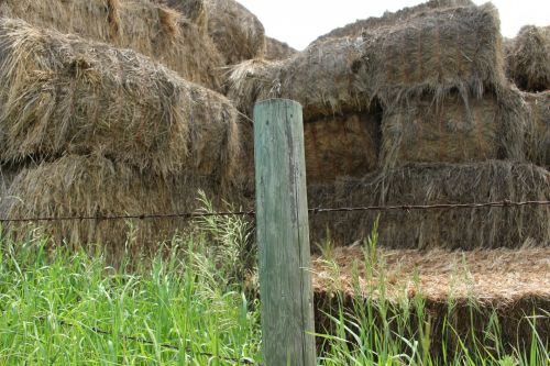 Square Hay Bales Fence Post