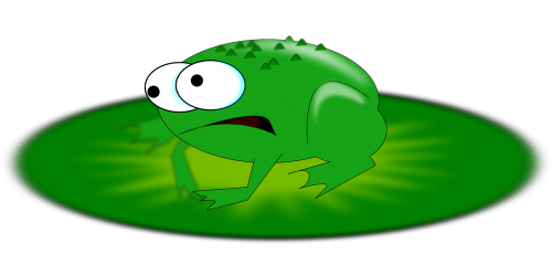 squib frog amphibian