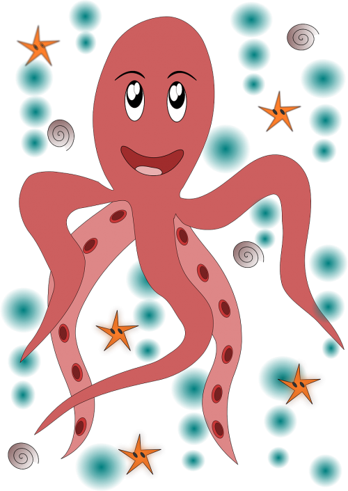 squid octopus animal
