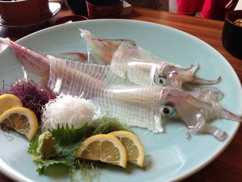 squid sashimi japanese