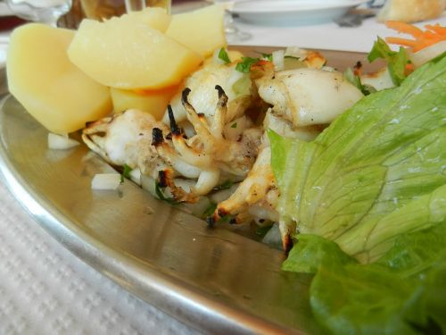squid lettuce food
