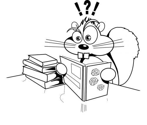 squirrel reading books