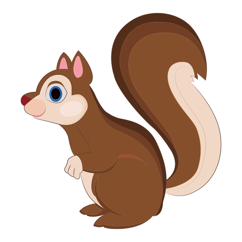 squirrel  forest  animal