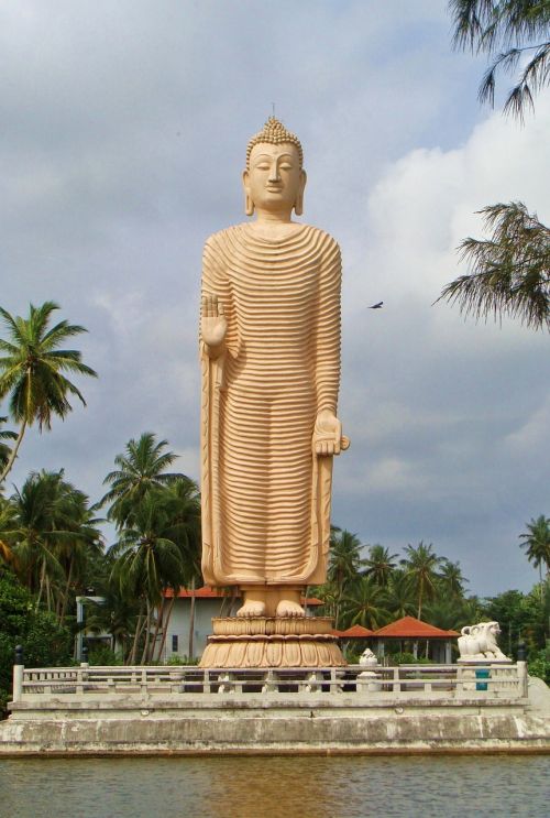 sri lanka buddha statue