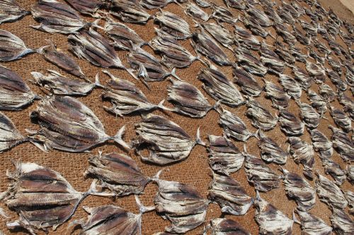 sri lanka fish beach