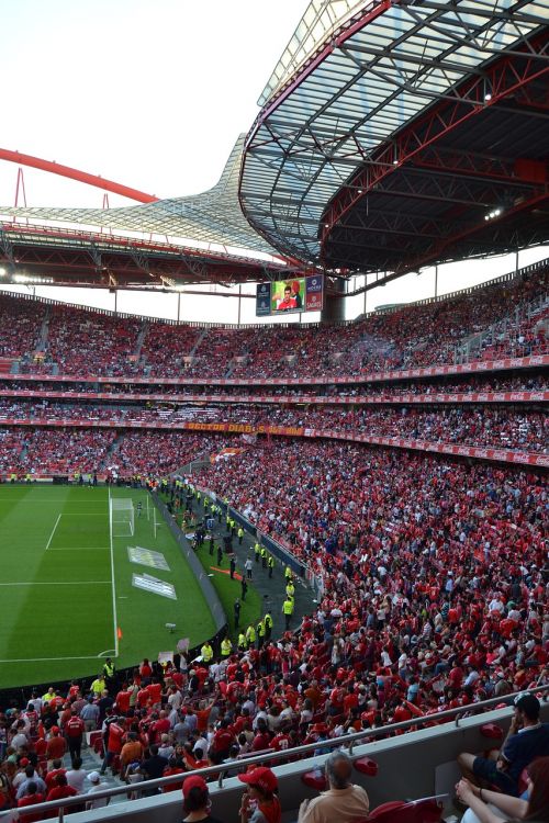 stadium of light portugal lisbon