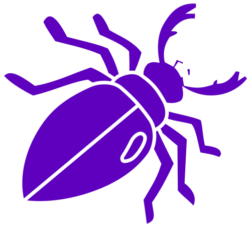 stag beetle purple insect