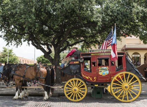 stagecoach horses western