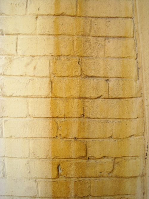 Stained Brick Wall 2