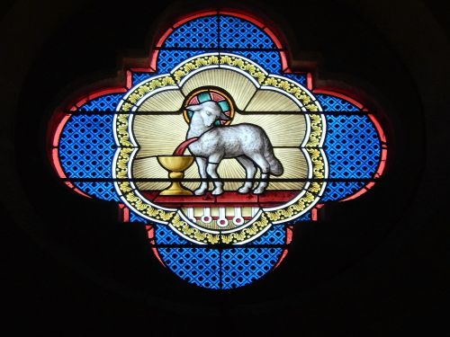 stained glass church lamb