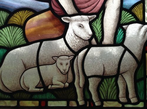 stained glass lamb christian