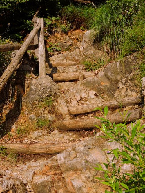 staircase trail wood