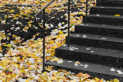 staircase stockholm autumn