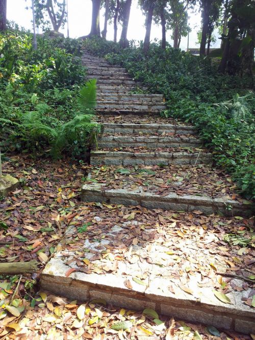 Staircase Pavement In The Forest