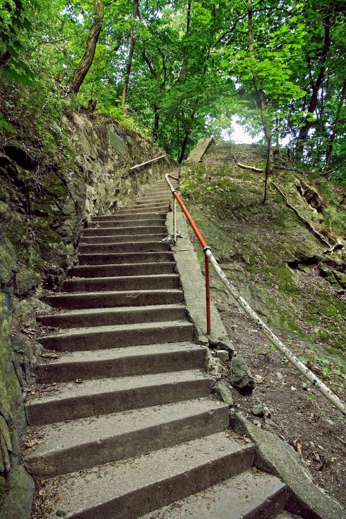 stairs forest summer