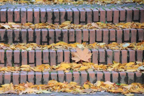 stairs autumn jahreseit