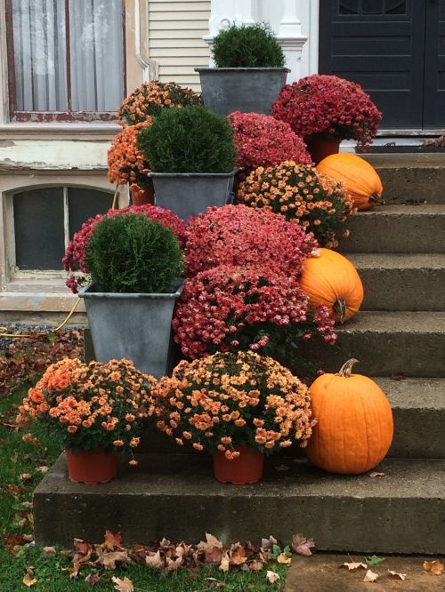 stairs autumn pumpkins